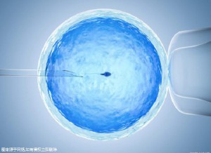 代怀选性别包生男孩
